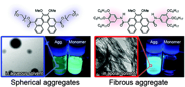 Graphical abstract: Fluorescence behavior of 5,10-disubstituted [5]helicene derivatives in solution and the effect of self-assembly on their radiative and non-radiative rate constants