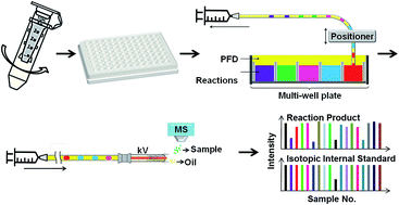 Graphical abstract: A label-free Sirtuin 1 assay based on droplet-electrospray ionization mass spectrometry