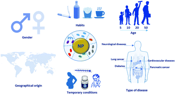 Graphical abstract: Personalized protein corona on nanoparticles and its clinical implications