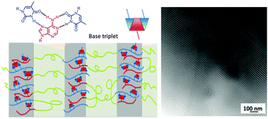 Graphical abstract: Influence of nucleobase stoichiometry on the self-assembly of ABC triblock copolymers