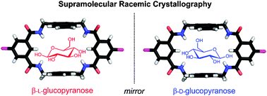 Graphical abstract: Crystal structure of a complex between β-glucopyranose and a macrocyclic receptor with dendritic multicharged water solubilizing chains