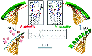 Graphical abstract: Chiral signs of TPPS co-assemblies with chiral gelators: role of molecular and supramolecular chirality