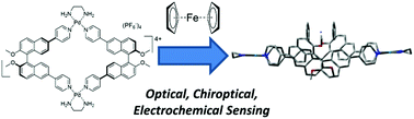Graphical abstract: A chiroptical molecular sensor for ferrocene