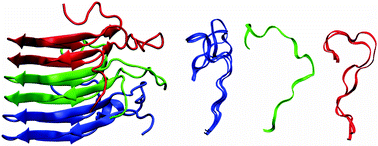 Graphical abstract: Investigation of the structural preference and flexibility of the loop residues in amyloid fibrils of the HET-s prion