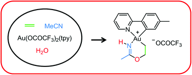 Graphical abstract: Small-molecule activation at Au(iii): metallacycle construction from ethylene, water, and acetonitrile