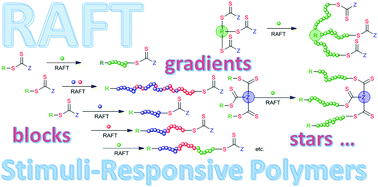Graphical abstract: RAFT polymerization to form stimuli-responsive polymers