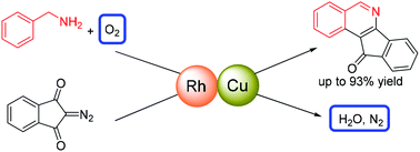 Graphical abstract: Rhodium/copper-cocatalyzed annulation of benzylamines with diazo compounds: access to fused isoquinolines