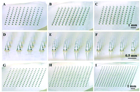 Graphical abstract: A solid polymer microneedle patch pretreatment enhances the permeation of drug molecules into the skin