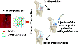 Graphical abstract: Nanostrontium ranelate incorporated injectable hydrogel enhanced matrix production supporting chondrogenesis in vitro