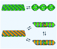 Graphical abstract: Programmed planar-to-helical shape transformations of composite hydrogels with bioinspired layered fibrous structures