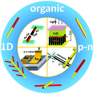 Graphical abstract: Recent advances in one-dimensional organic p–n heterojunctions for optoelectronic device applications