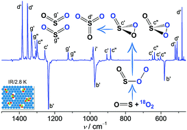 Graphical abstract: Capture of SO3 isomers in the oxidation of sulfur monoxide with molecular oxygen