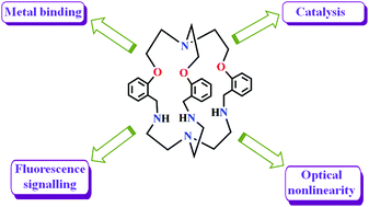 Graphical abstract: Metal ion binding by laterally non-symmetric macrobicyclic oxa–aza cryptands