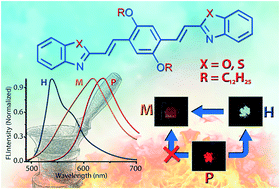 Graphical abstract: Reversible switching of solid-state luminescence by heat-induced interconversion of molecular packing