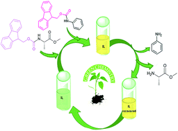 Graphical abstract: Simple and efficient Fmoc removal in ionic liquid