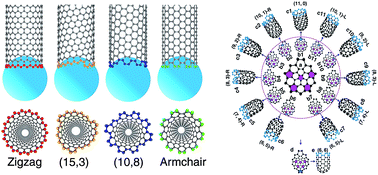 Graphical abstract: The kinetics of chirality assignment in catalytic single-walled carbon nanotube growth and the routes towards selective growth