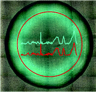 Graphical abstract: A high-throughput serum Raman spectroscopy platform and methodology for colorectal cancer diagnostics