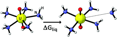 Graphical abstract: Modelling uranyl chemistry in liquid ammonia from density functional theory