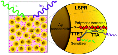 Graphical abstract: Plasmon-enhanced triplet–triplet annihilation upconversion of post-modified polymeric acceptors