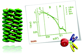 Graphical abstract: Self-assembly of porphyrin hexamers via bidentate metal–ligand coordination