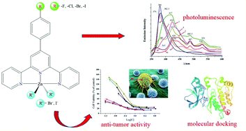 Graphical abstract: Synthesis, characterization, photoluminescence, anti-tumor activity, DFT calculations and molecular docking with proteins of zinc(ii) halogen substituted terpyridine compounds