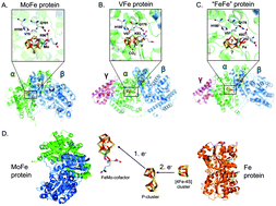 Graphical abstract: Exploring the alternatives of biological nitrogen fixation