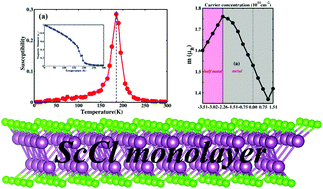 Graphical abstract: High Curie-temperature intrinsic ferromagnetism and hole doping-induced half-metallicity in two-dimensional scandium chlorine monolayers