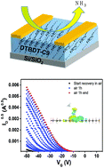 Graphical abstract: An ammonia detecting mechanism for organic transistors as revealed by their recovery processes