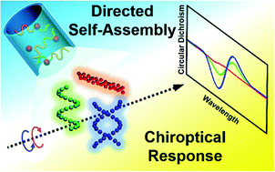 Graphical abstract: Diverse chiral assemblies of nanoparticles directed by achiral block copolymers via nanochannel confinement