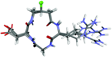 Graphical abstract: Tuning the properties of a cyclic RGD-containing tetrapeptide through backbone fluorination