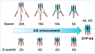 Graphical abstract: DNA quadruplexes as molecular scaffolds for controlled assembly of fluorogens with aggregation-induced emission