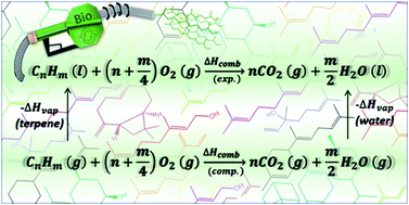 Graphical abstract: Computational design of biofuels from terpenes and terpenoids