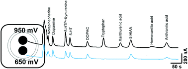 Graphical abstract: Determination of tryptophan metabolism from biological tissues and fluids using high performance liquid chromatography with simultaneous dual electrochemical detection