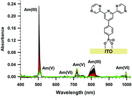 Graphical abstract: Electrochemical oxidation of trivalent americium using a dipyrazinylpyridine modified ITO electrode