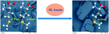 Graphical abstract: Tuning crystallization and stability of the metastable polymorph of dl-methionine by a structurally similar additive