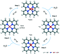 Graphical abstract: Mononuclear Fe in N-doped carbon: computational elucidation of active sites for electrochemical oxygen reduction and oxygen evolution reactions