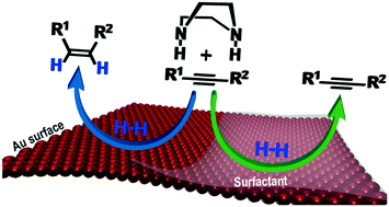 Graphical abstract: Piperazine-promoted gold-catalyzed hydrogenation: the influence of capping ligands