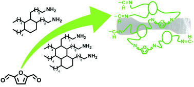 Graphical abstract: A fully bio-based polyimine vitrimer derived from fructose