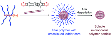 Graphical abstract: Arm-degradable star polymers with crosslinked ladder-motif cores as a route to soluble microporous nanoparticles