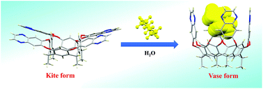 Graphical abstract: A new water-soluble cavitand with deeper guest binding properties