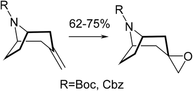 Graphical abstract: Selective synthesis of N-protected exo-spiro[oxirane-3,2′-tropanes]