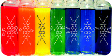 Graphical abstract: Direct amination and N-heteroarylation of perylenediimides