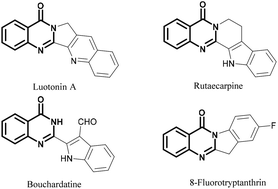 Graphical abstract: Catalyst-controlled selective mono-/dialkylation of 2-aryl-4(3H)-quinazolinones
