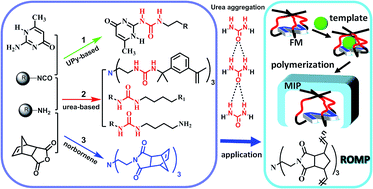 Graphical abstract: Design and synthesis of supramolecular functional monomers bearing urea and norbornene motifs