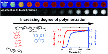 Graphical abstract: Optical monitoring of polymerizations in droplets with high temporal dynamic range