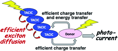 Graphical abstract: Efficient light-harvesting, energy migration, and charge transfer by nanographene-based nonfullerene small-molecule acceptors exhibiting unusually long excited-state lifetime in the film state