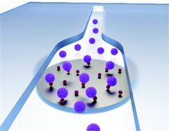 Graphical abstract: Microfluidic-enabled magnetic labelling of nanovesicles for bioanalytical applications