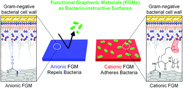 Graphical abstract: Tunable, bacterio-instructive scaffolds made from functional graphenic materials