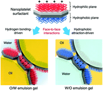 Graphical abstract: Janus amphiphilic nanoplatelets as smart colloid surfactants with complementary face-to-face interactions