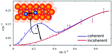 Graphical abstract: Inter-adsorbate forces and coherent scattering in helium spin-echo experiments